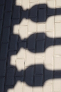 Wall_Art_Alphabet_Photography_Art_ 540